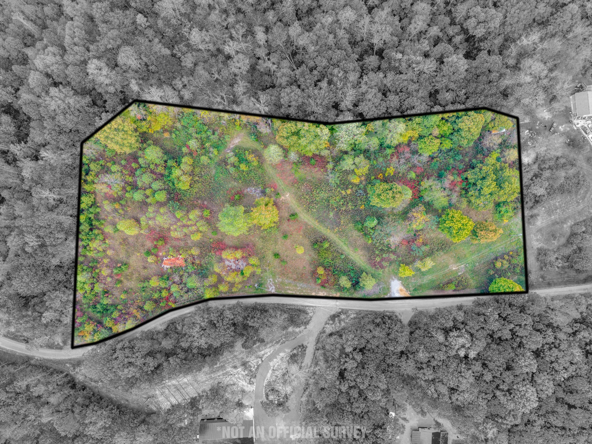 202 Sells Cemetery Road Wilder, TN 38589 - Photo 10 of 10 a view of a garden from a window