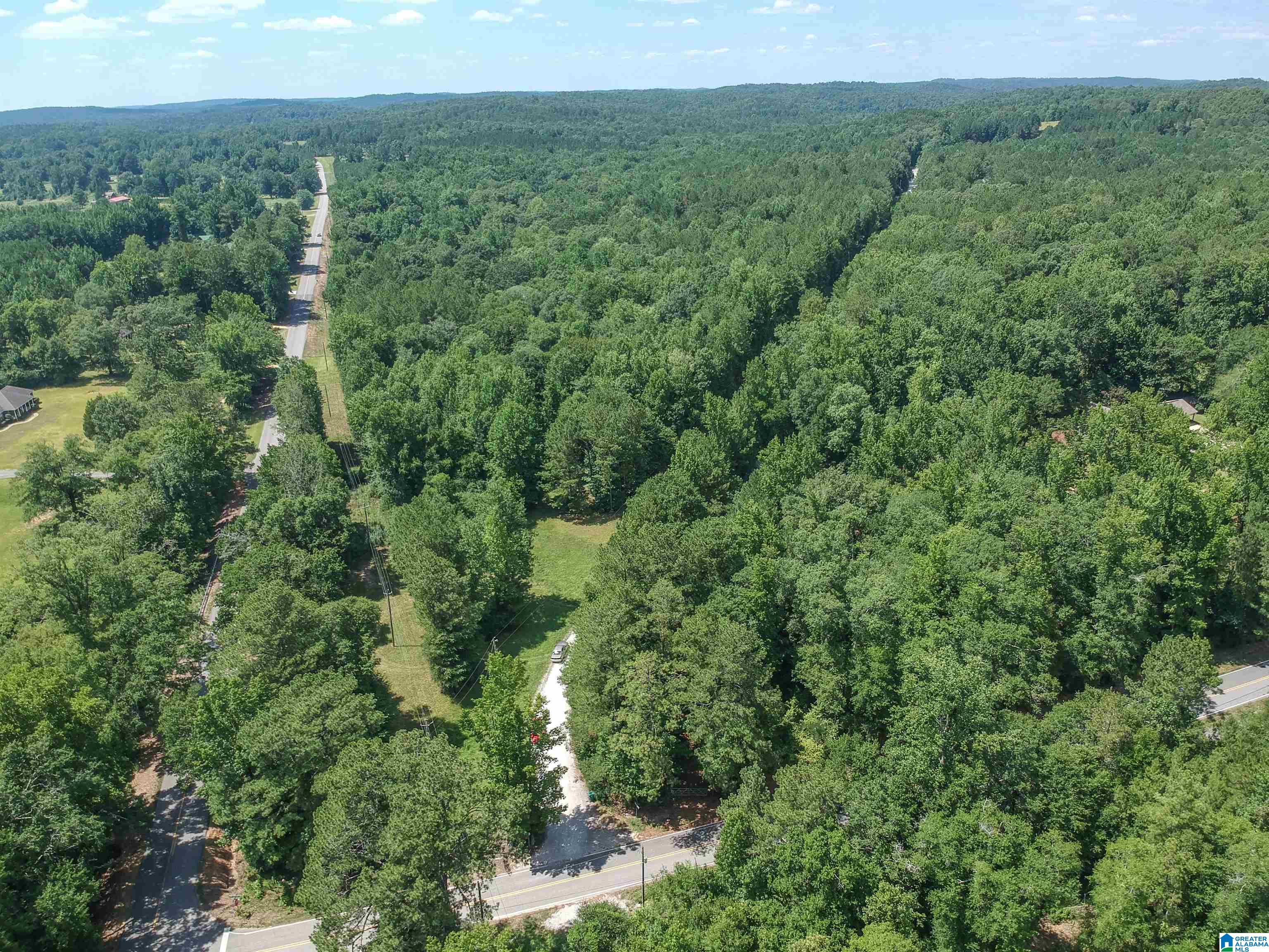 0 Upper Columbus Road Coker, AL 35452 - Photo 12 of 15
