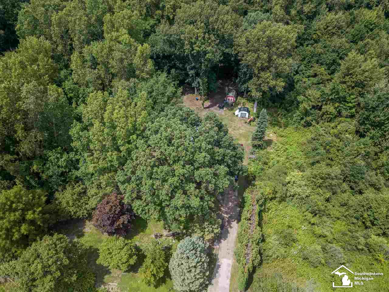 11000 Hoffman Road Maybee, MI 48159 - Photo 3 of 19 Gallery Image 3