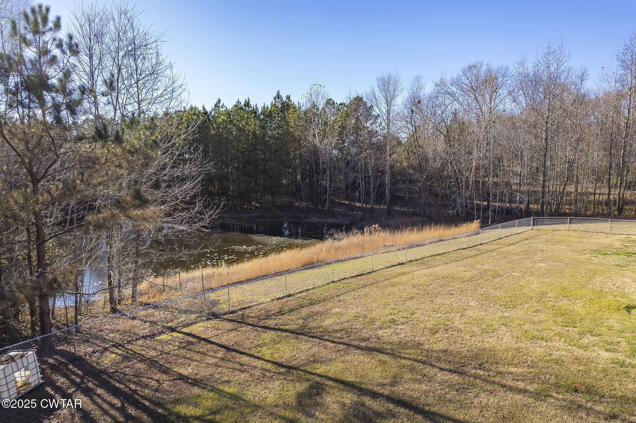 527 John Brown Road Beech Bluff, TN 38313 - Photo 25 of 28 a view of yard with trees in the background