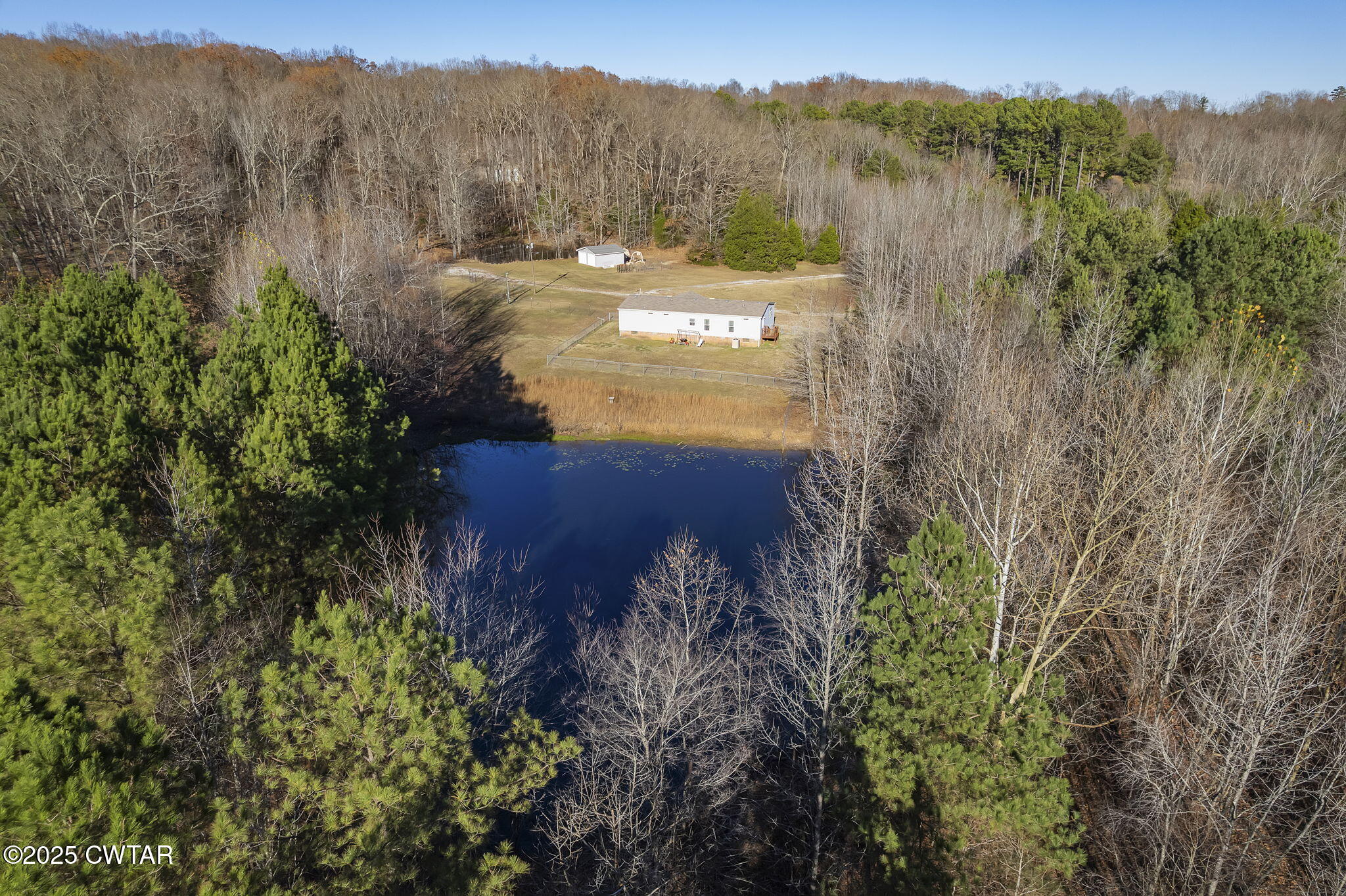 527 John Brown Road Beech Bluff, TN 38313 - Photo 4 of 28 a view of a lush green forest with a mountain