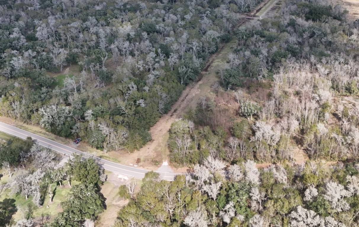 a view of a dry yard with trees