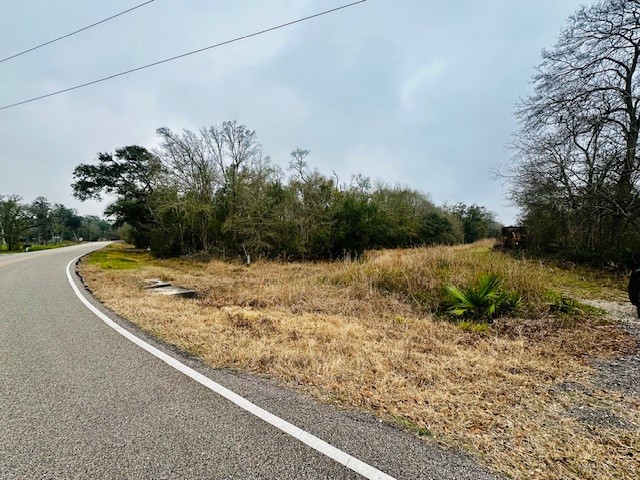 0 County Road 409 Sweeny, TX 77480 - Photo 4 of 7 a view of a lake view