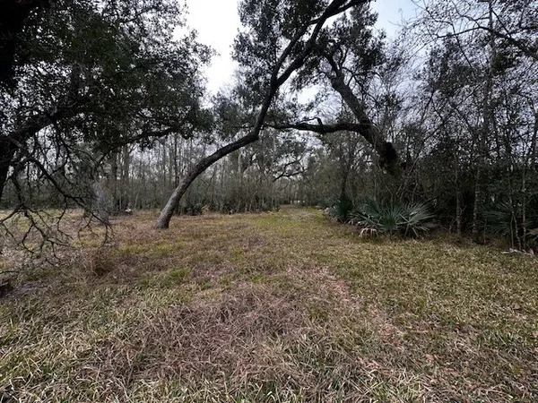 a view of outdoor space with trees