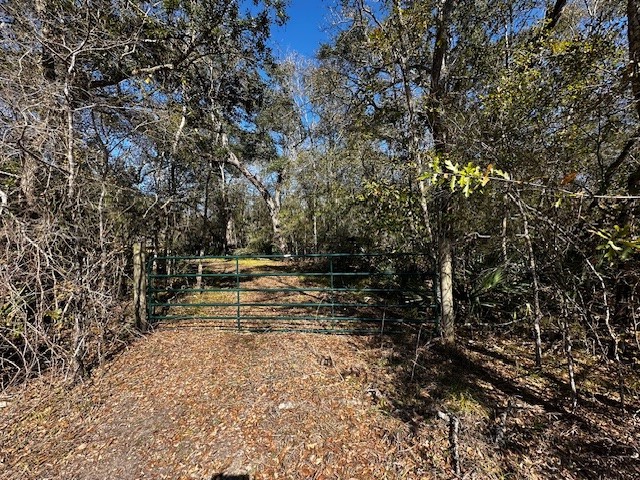 0 County Road 409 Sweeny, TX 77480 - Photo 7 of 7 a view of outdoor space