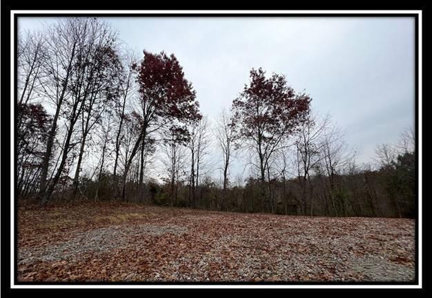 35816 Buck Run Road, Unit TRACT 11 Langsville, OH 45741 - Photo 14 of 31 image014