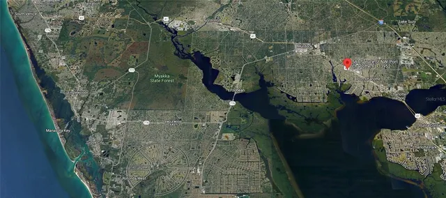 a view of a flower in a yard