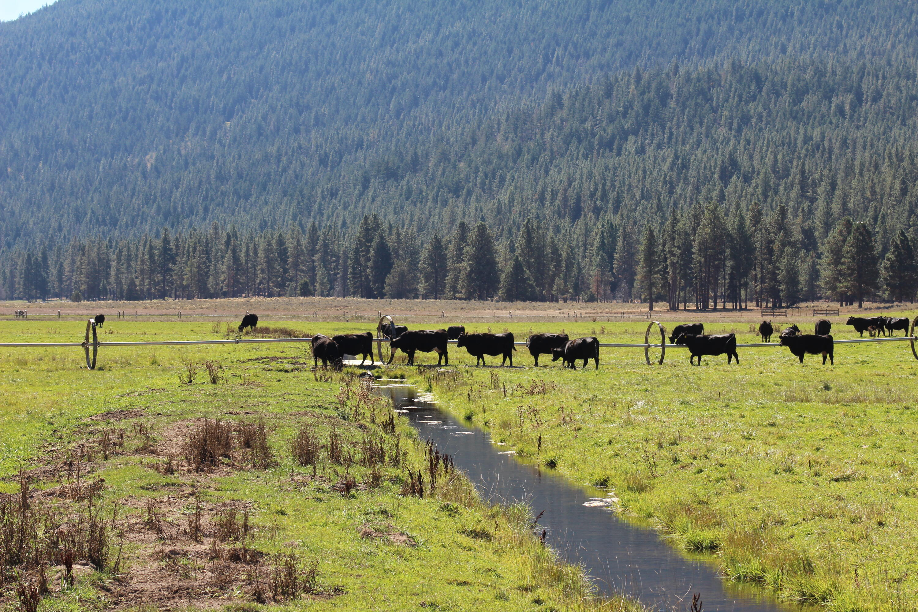 12046 Old Fort Road Klamath Falls, OR 97601 - Photo 16 of 59