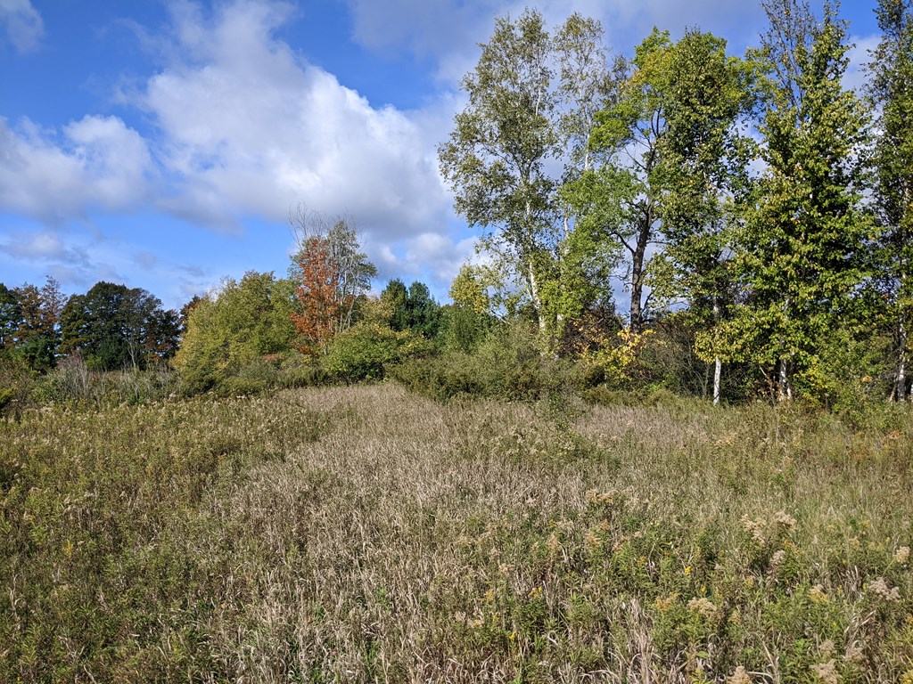 N/a N/a Wild Nest Road Fish Creek, WI 54212 - Photo 5 of 12