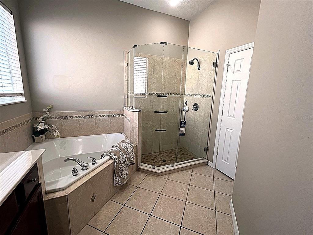 11531 Vicolo Loop Windermere, FL 34786 - Photo 11 of 32 a bathroom with a granite countertop sink mirror and shower