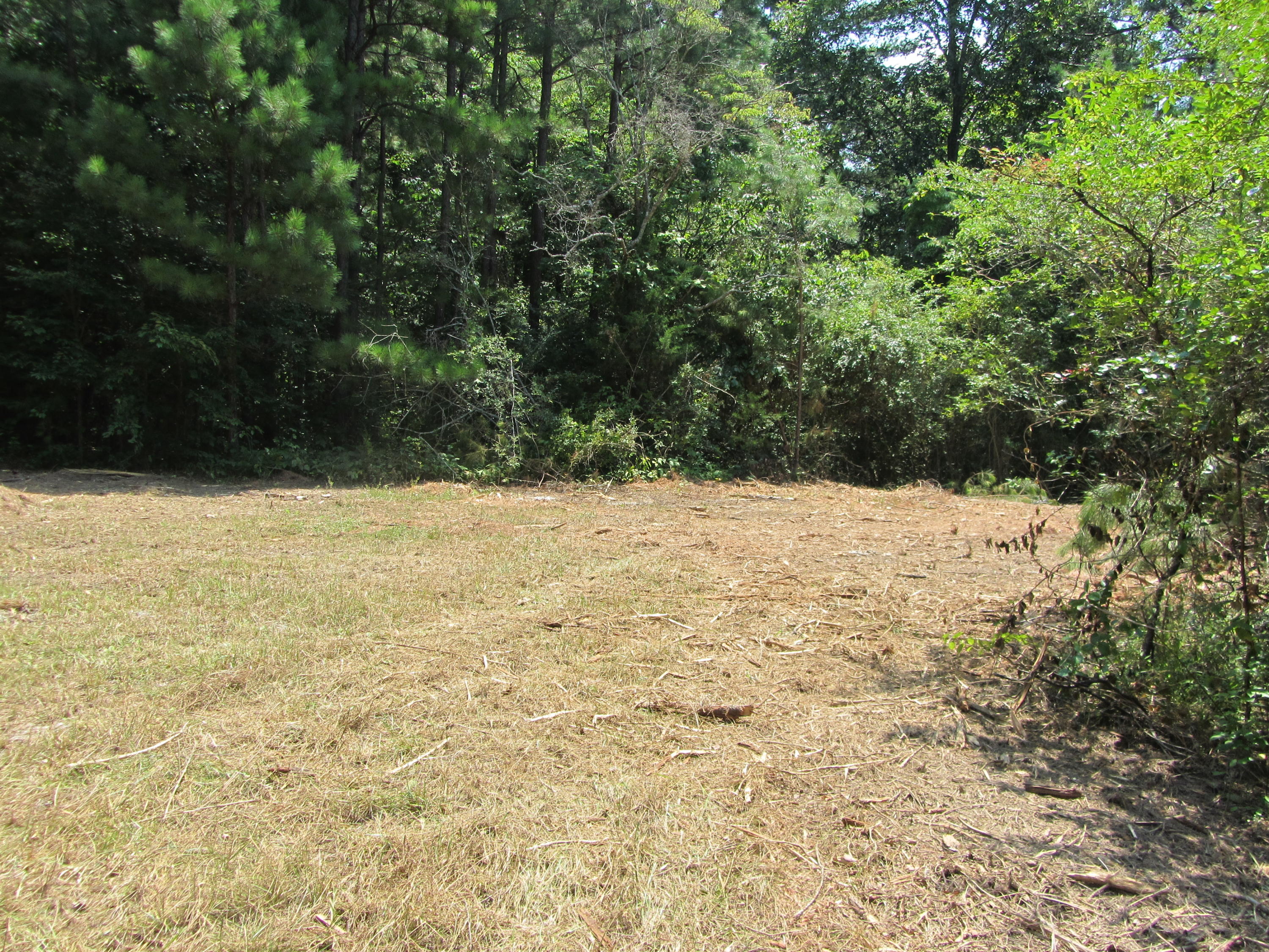 423 Bowman Road Ringgold, GA 30736 - Photo 6 of 10 IMG_3360