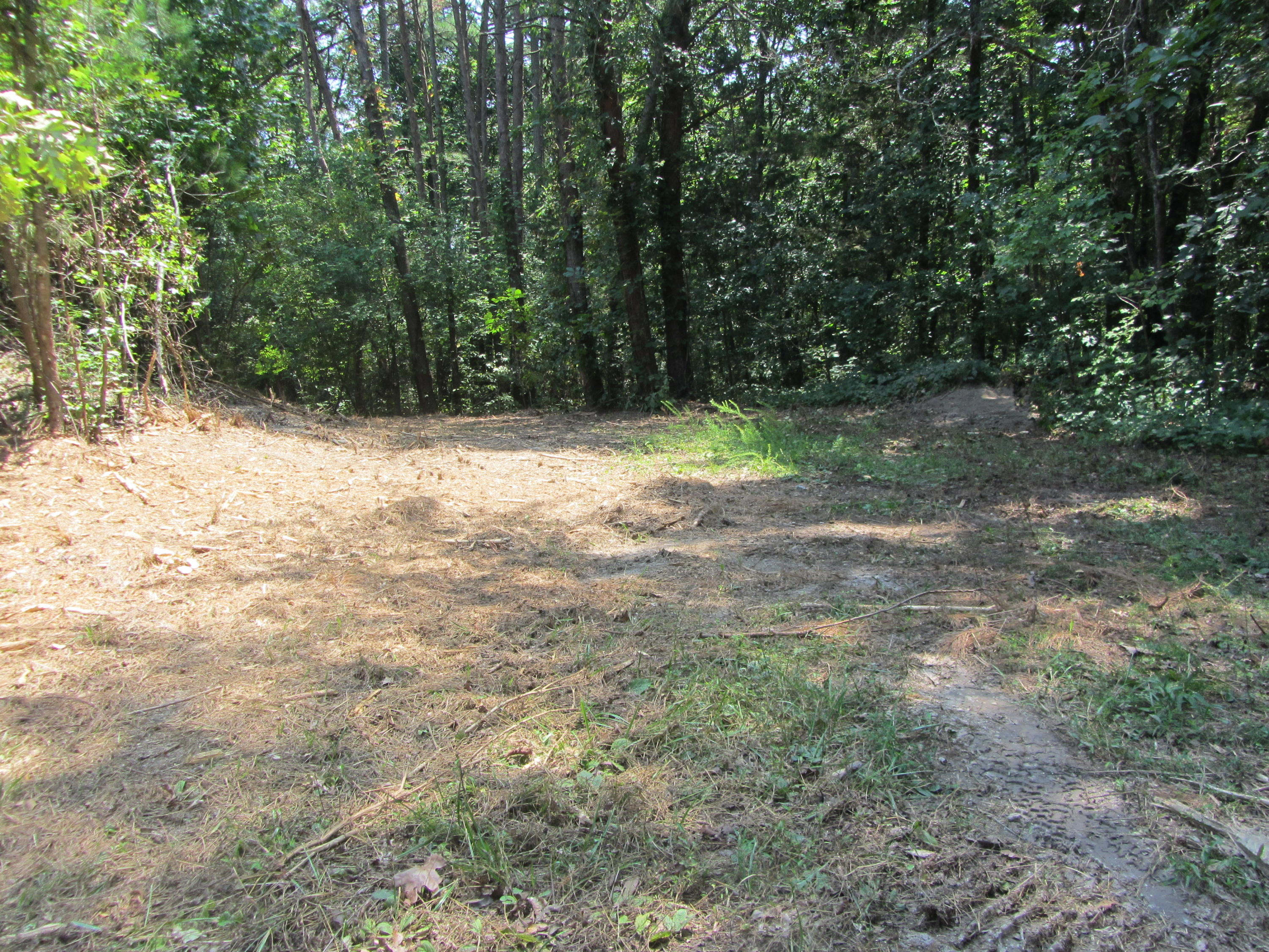 423 Bowman Road Ringgold, GA 30736 - Photo 8 of 10 IMG_3362