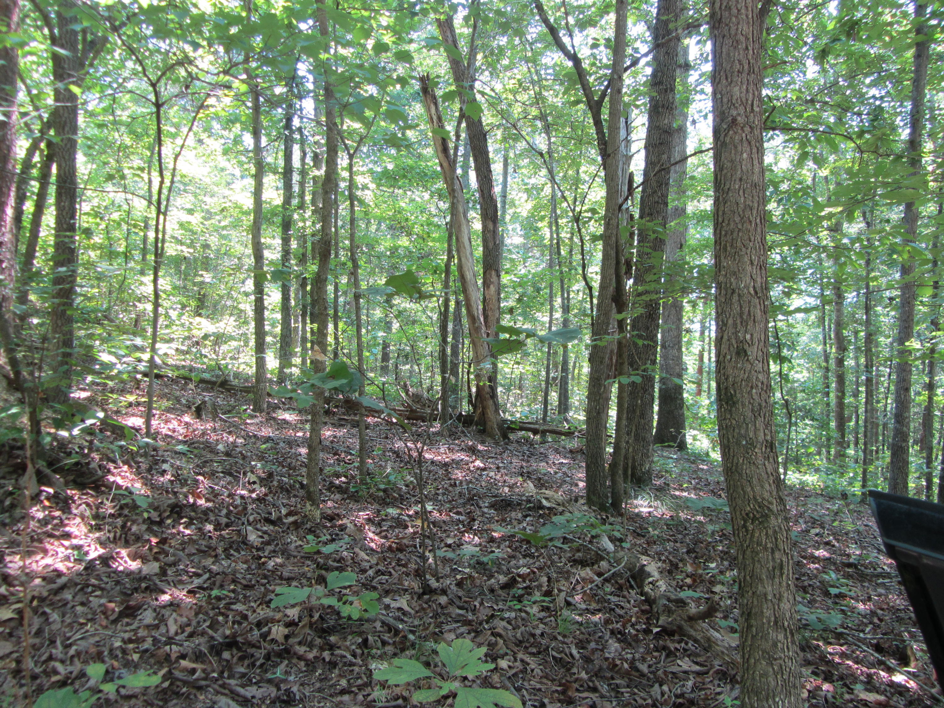 423 Bowman Road Ringgold, GA 30736 - Photo 10 of 10 IMG_3366