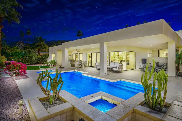 a living room with furniture pool table and a potted plant