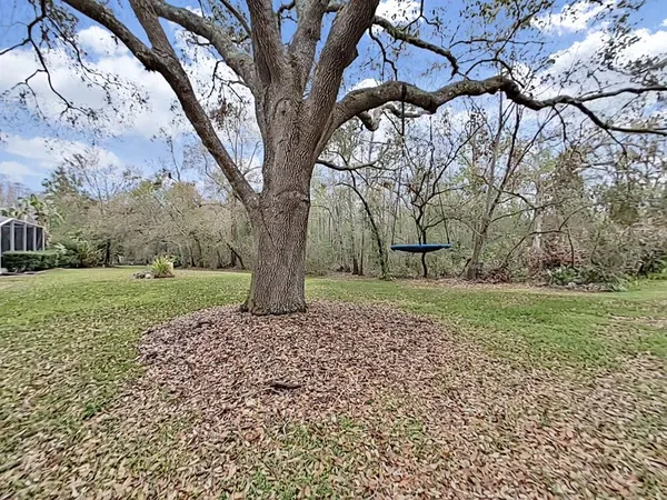 $719,900 | 17307 Oak Ledge Drive, Lutz, FL 33549