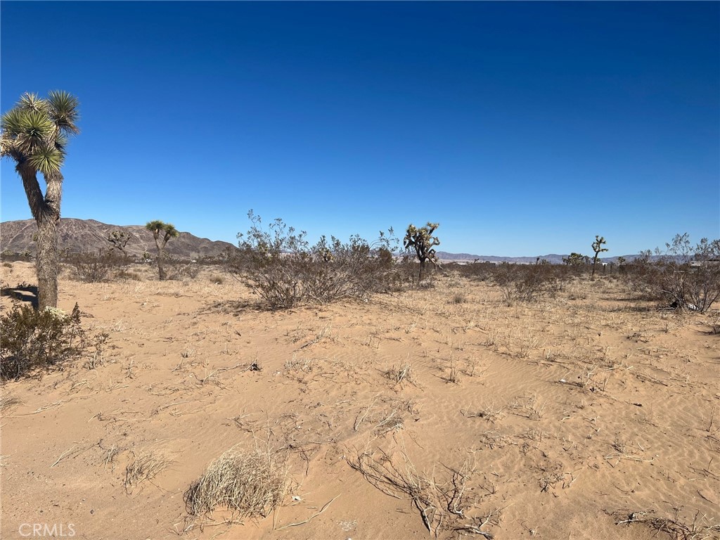 123 Reche Road Landers, CA 92285 - Photo 1 of 1 Looking north east