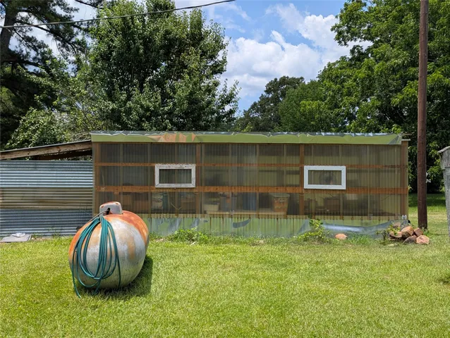a close up of a tree