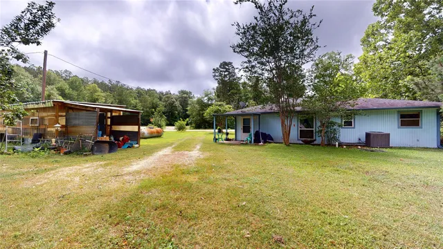 a view of a plants and small trees in a garden