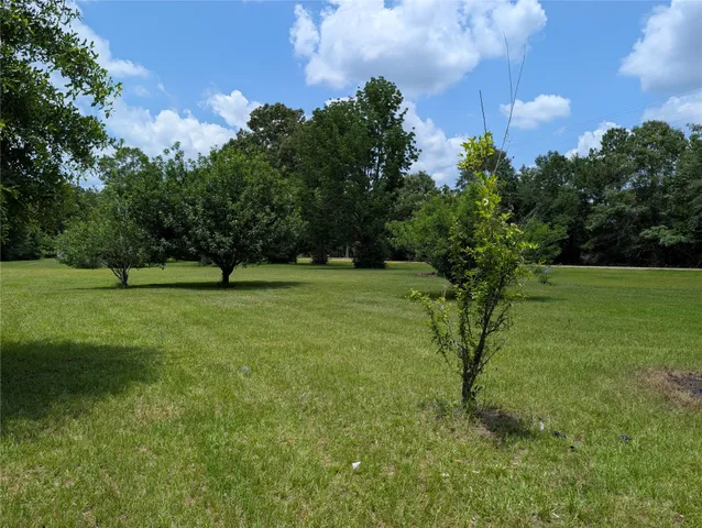 a view of a yard with a trees