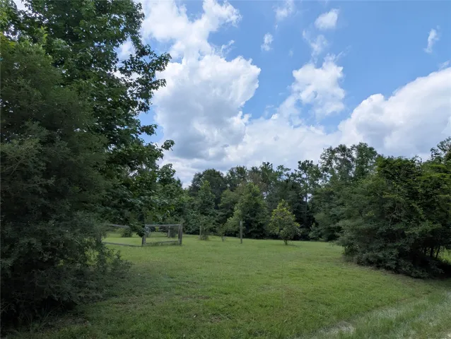 a view of a field with a tree