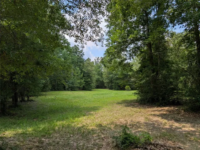 a view of an house with backyard space and garden