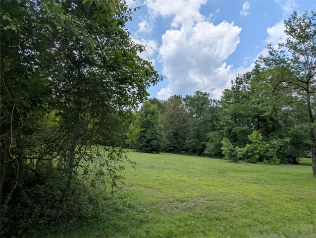a view of yard with green space