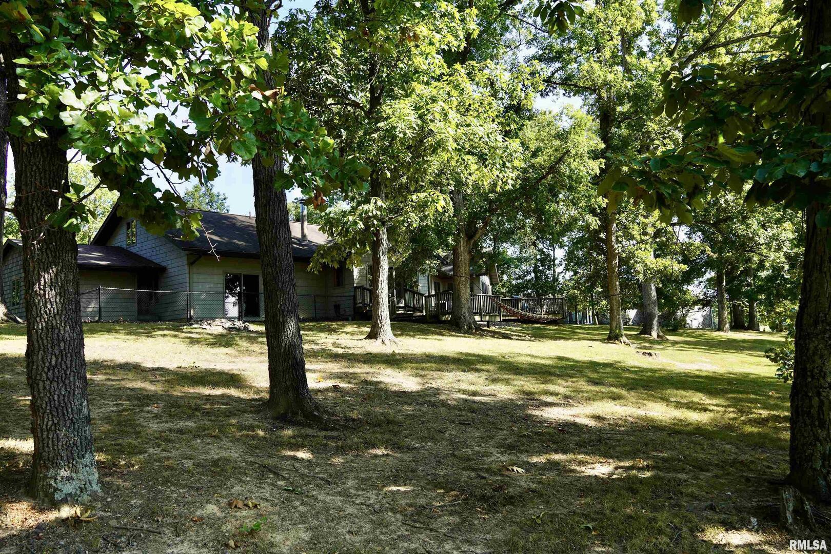 15316 Lake Point Drive Benton, IL 62812 - Photo 14 of 58 a view of a yard with a tree