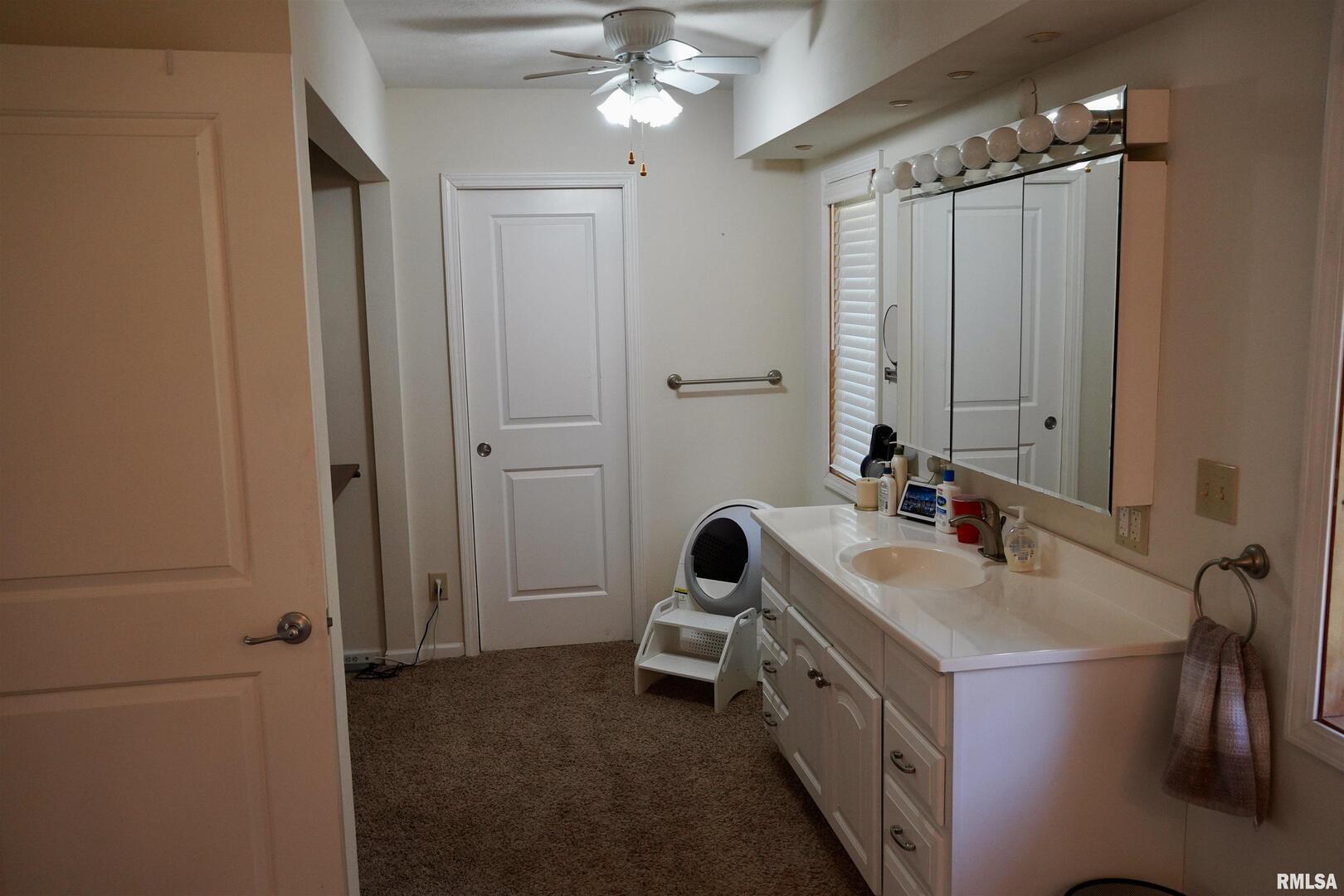 15316 Lake Point Drive Benton, IL 62812 - Photo 44 of 58 a bathroom with a double vanity sink a mirror and shower