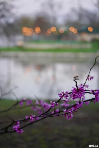 $369,000 | 15316 Lake Point Drive, Benton, IL 62812