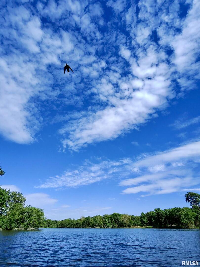 15316 Lake Point Drive Benton, IL 62812 - Photo 50 of 58 a view of a yard with an empty space and wooden floor