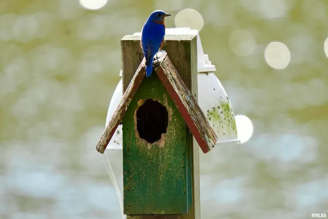 $360,000 | 15316 Lake Point Drive, Benton, IL 62812