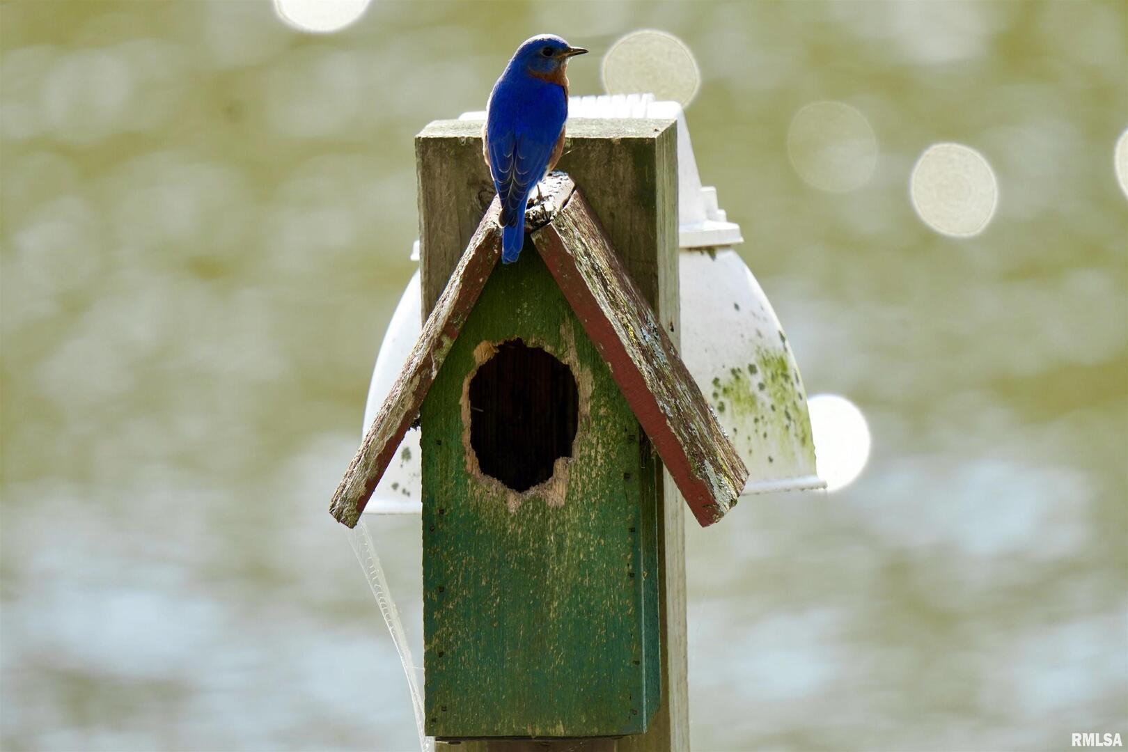 15316 Lake Point Drive Benton, IL 62812 - Photo 52 of 58