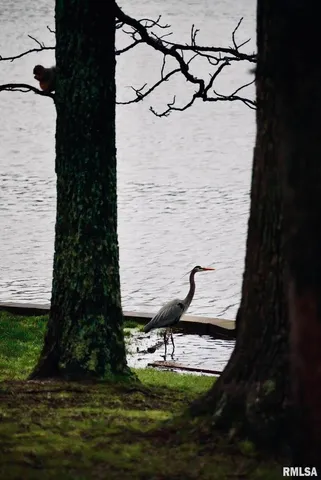 $369,000 | 15316 Lake Point Drive, Benton, IL 62812