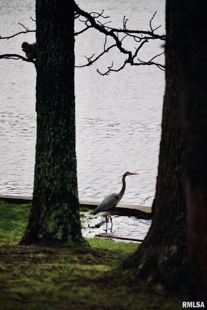 15316 Lake Point Drive Benton, IL 62812 - Photo 53 of 58 a view of a yard with an outdoor space
