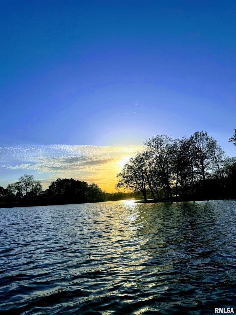 15316 Lake Point Drive Benton, IL 62812 - Photo 55 of 58