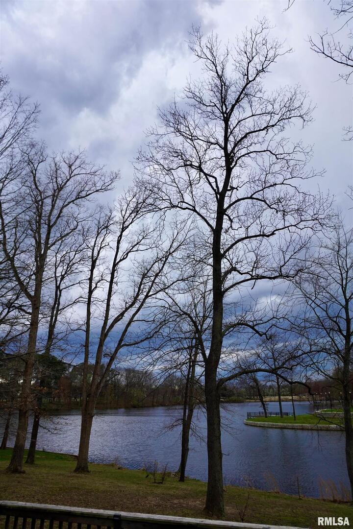 15316 Lake Point Drive Benton, IL 62812 - Photo 56 of 58 a view of tree in front of a house