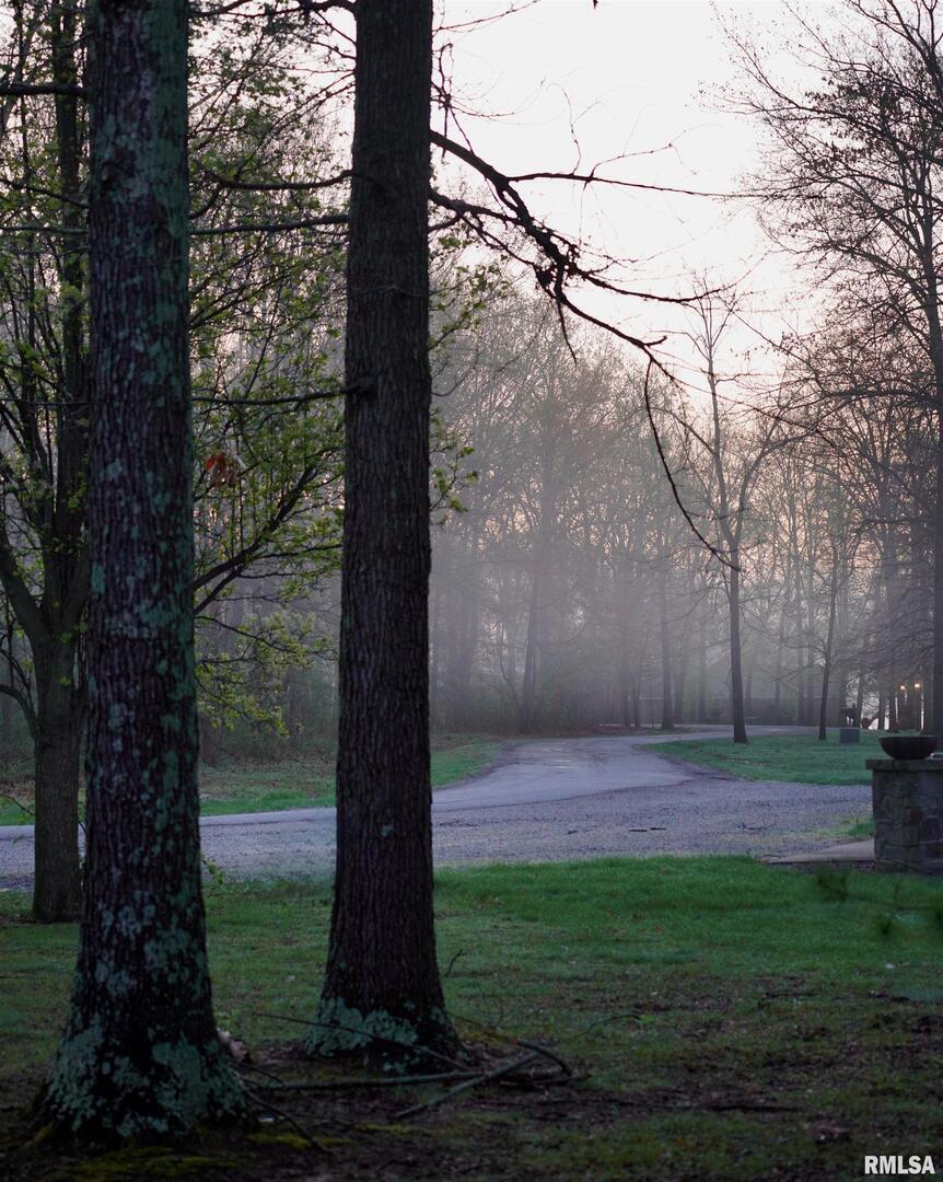 15316 Lake Point Drive Benton, IL 62812 - Photo 57 of 58 a view of a yard