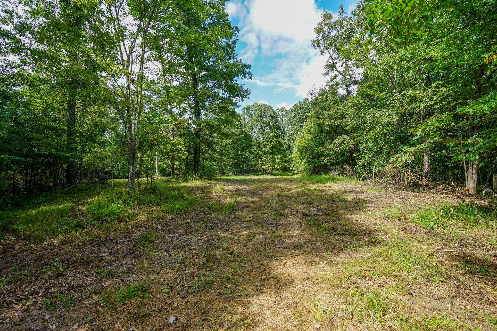 0 Kottcamp Road Hamden, OH 45634 - Photo 39 of 56 DSC09350