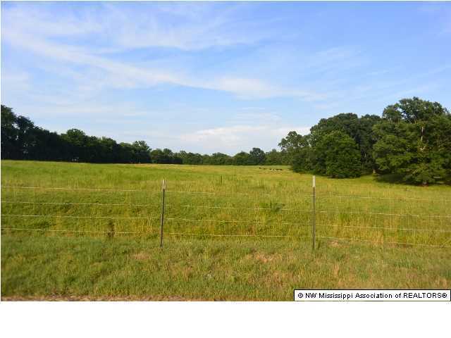 156 Baylor Road Senatobia, MS 38668 - Photo 3 of 5 Additional Photo