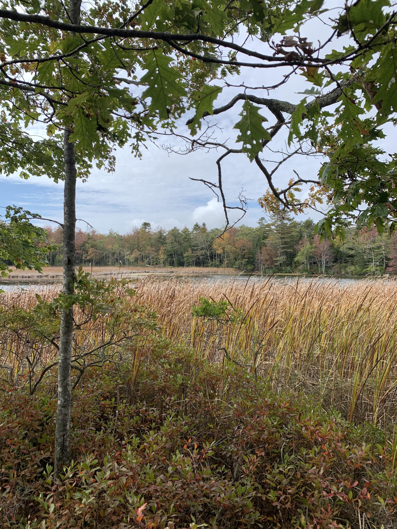 0 Long Point Road Harpswell, ME 04079 - Photo 19 of 19 unnamed