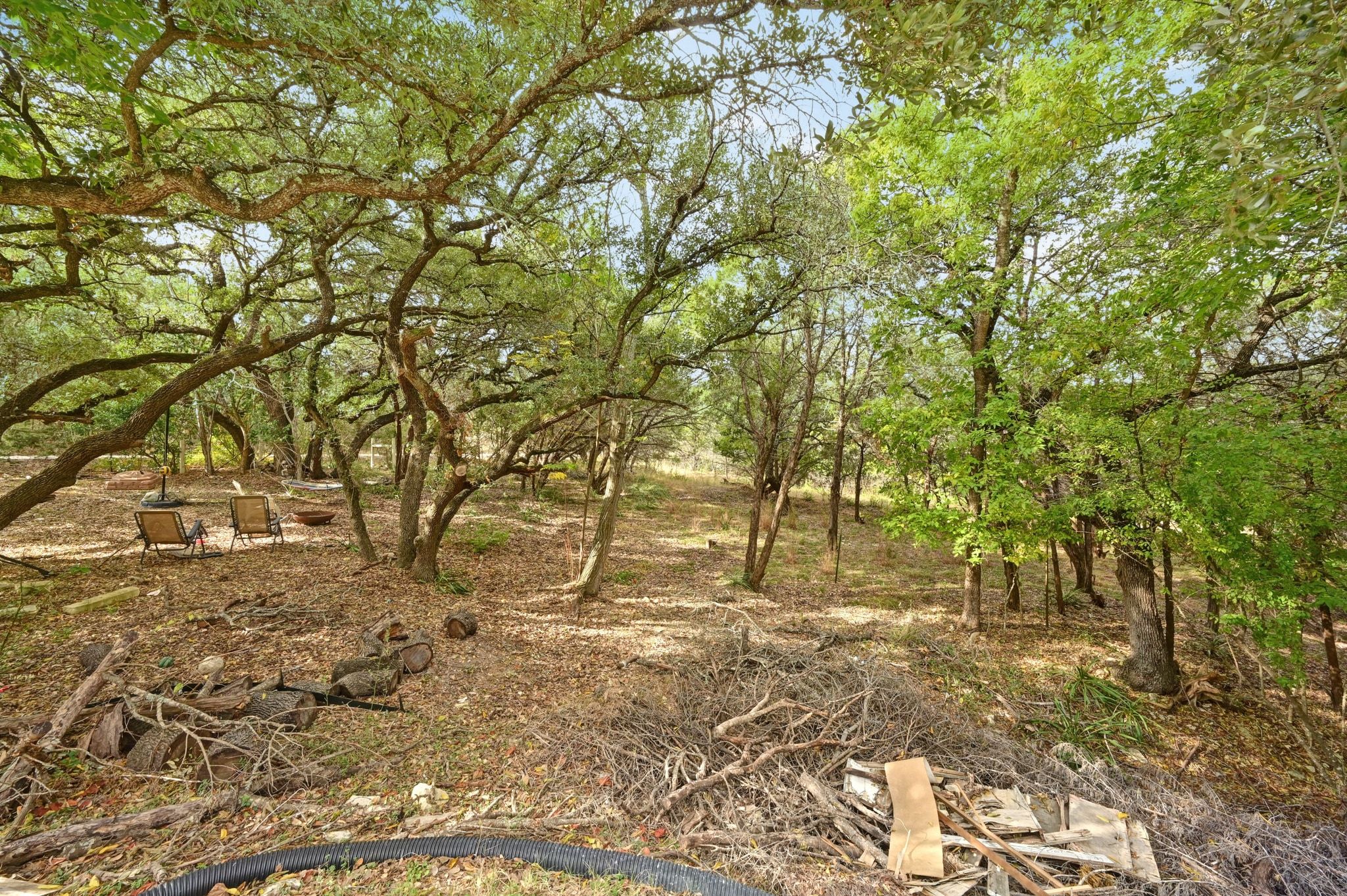 201 Comanche Camp Kyle, TX 78640 - Photo 28 of 37 a backyard of a house with a large tree