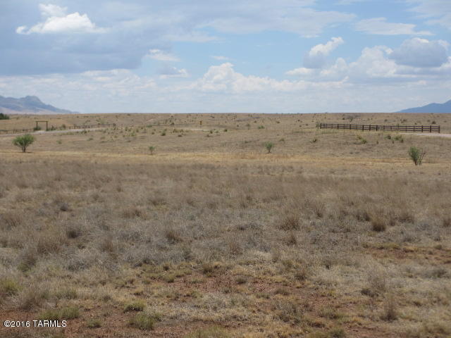 0 Curly Horse Ranch Road Sonoita, AZ 85637 - Photo 5 of 13
