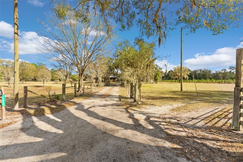 17620 North Poyner Road Polk City, FL 33868 - Photo 46 of 46