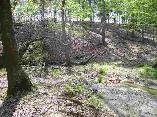 116 Sam Turner Road Iva, SC 29655 - Photo 5 of 6