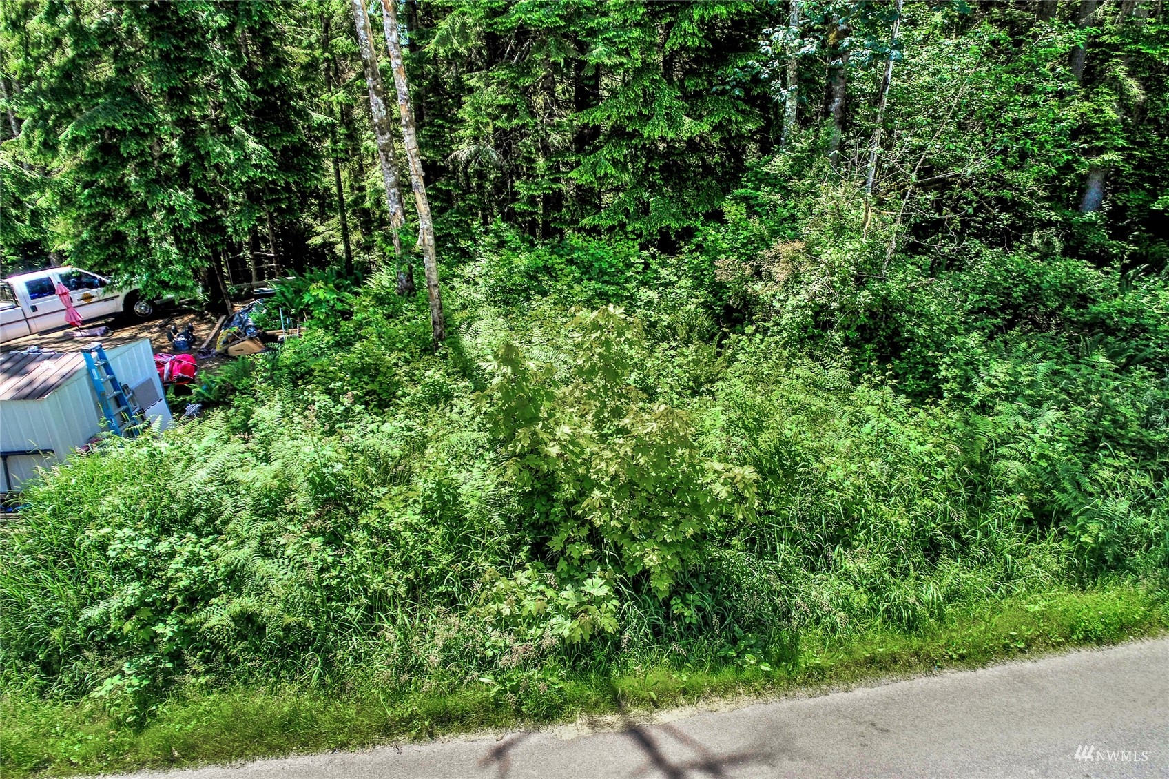 -xxxx Friar Creek Road Monroe, WA 98272 - Photo 4 of 13 a view of a garden with a flower and trees