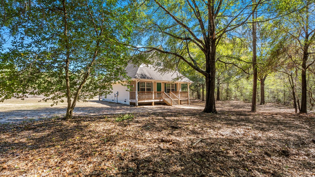 497 George Cannon Road Box Springs, GA 31801 - Photo 11 of 35 Gallery Image 11