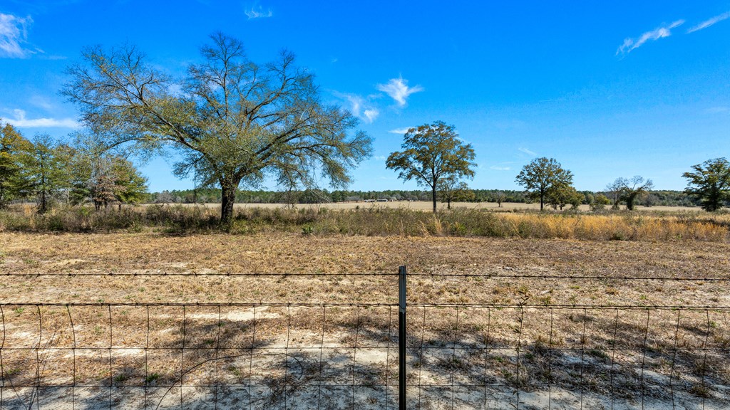 497 George Cannon Road Box Springs, GA 31801 - Photo 26 of 35 View from back property line across vast pastures