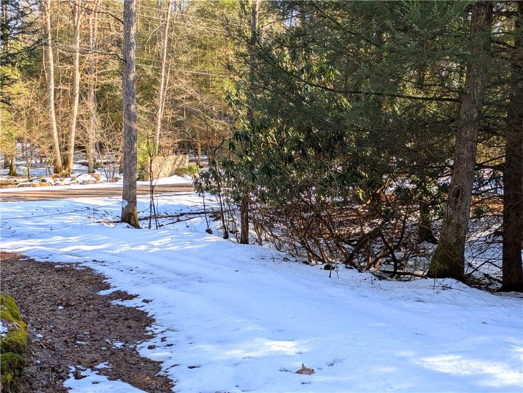 160 Mill Run School Road Farmington, PA 15437 - Photo 20 of 21 Gallery Image 20