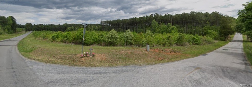 0 Grandy Road Brodnax, VA 23920 - Photo 3 of 9