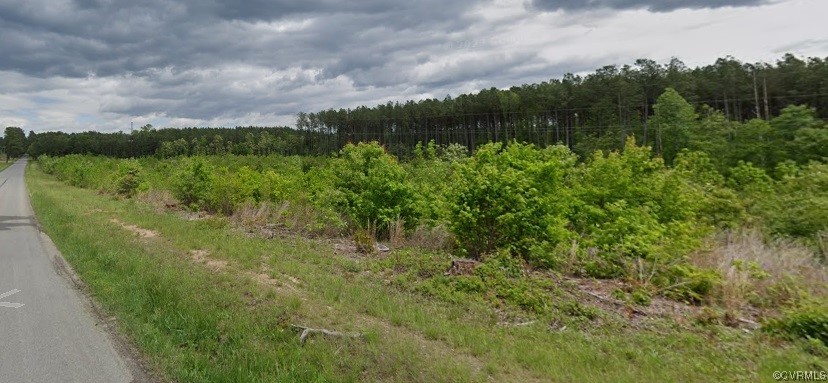 0 Grandy Road Brodnax, VA 23920 - Photo 4 of 9